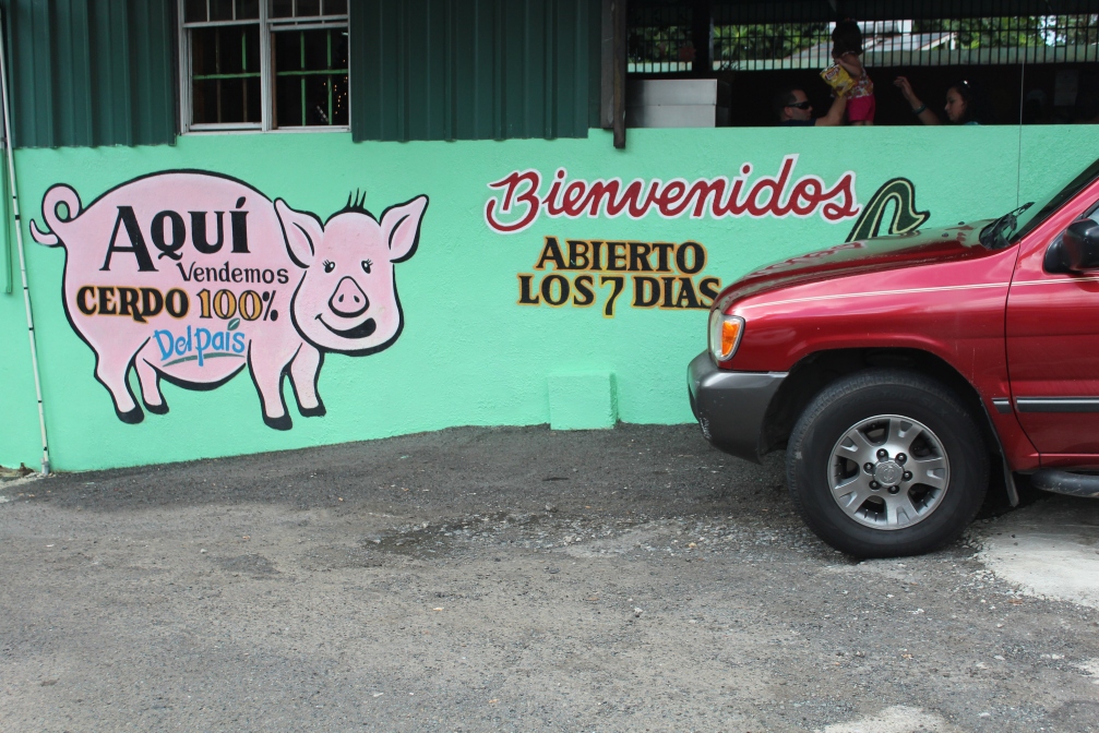 100% certified pigs from this island! Lechonera Los Pinos, Guavate, Cayey, Puerto Rico